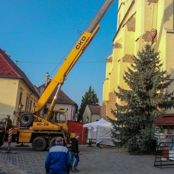 Príprava Vianočného stromčeku